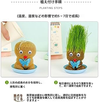 Amazon.co.jp: 4鉢植えの人形の頭の装飾植物 面白い成長草頭人形ドール Amazon.co.jp: 4鉢植えの人形の頭の装飾植物 面白い成長草頭人形ドール